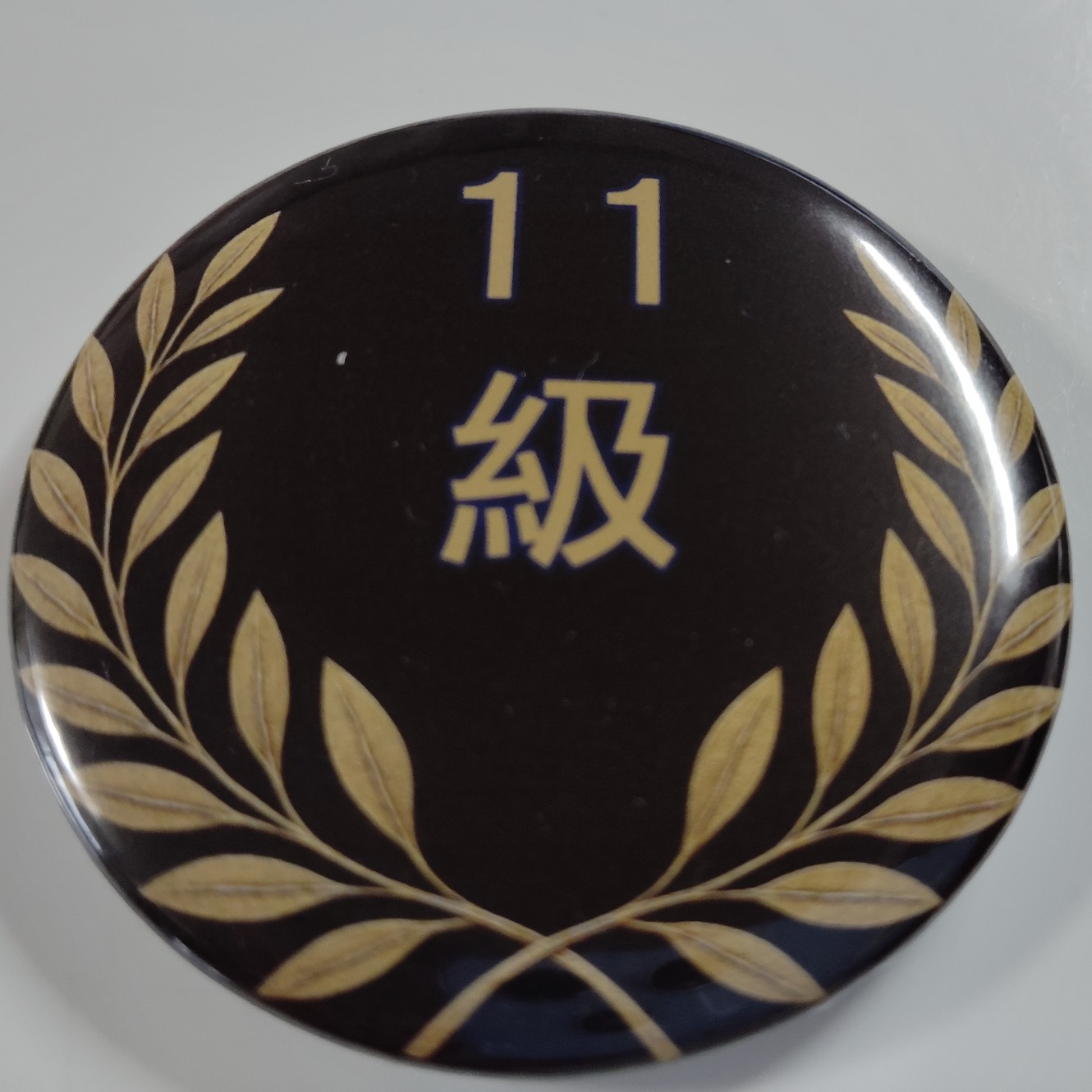 「１１級」缶バッジ58mm