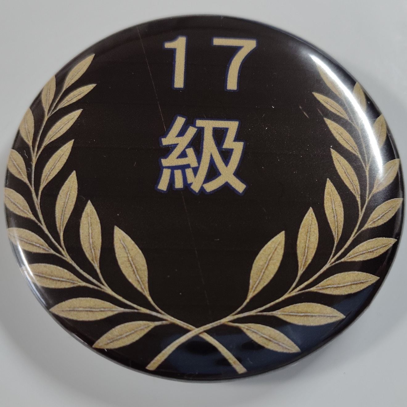 「１７級」缶バッジ58mm