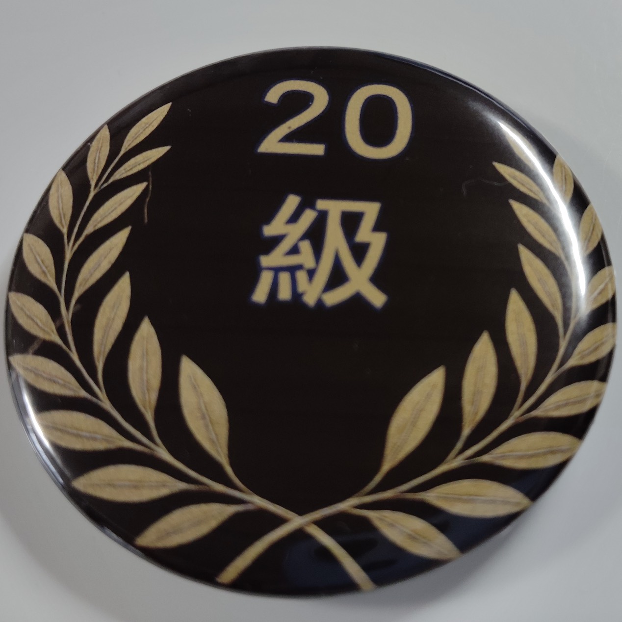 「２０級」缶バッジ58mm