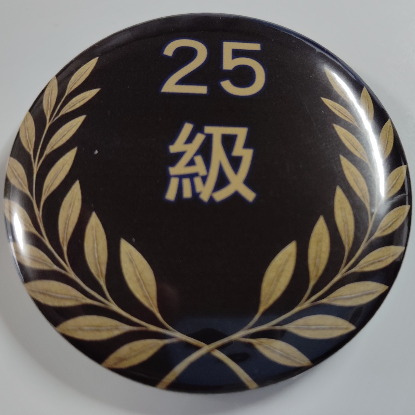 「２５級」缶バッジ58mm